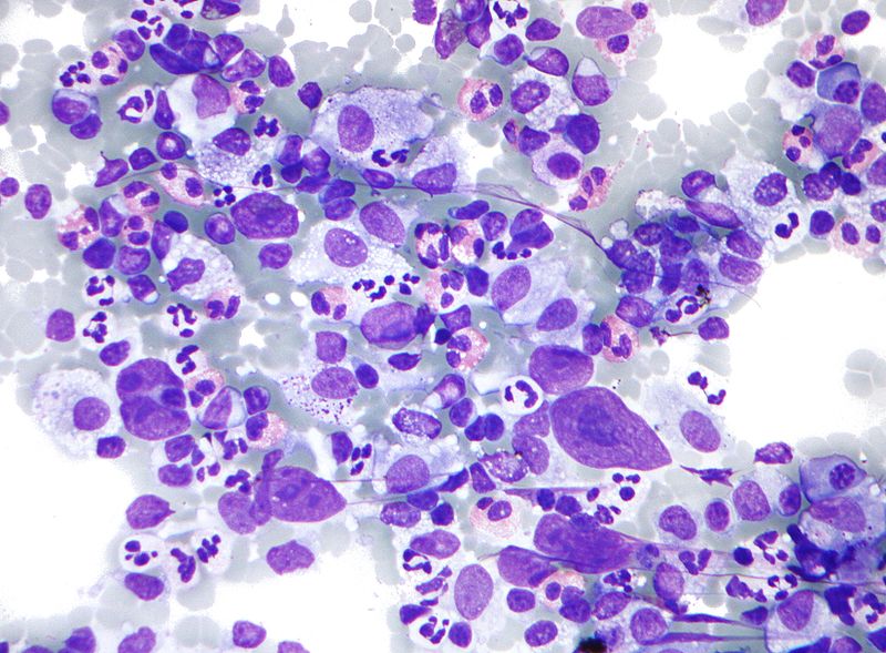 cytologia